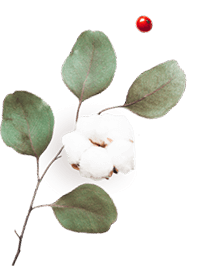 floating_image_06 https://maria-fernanda.click/wp-content/uploads/2020/10/floating_image_06.png