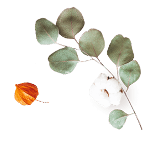 floating_image_07 https://maria-fernanda.click/wp-content/uploads/2020/10/floating_image_07.png
